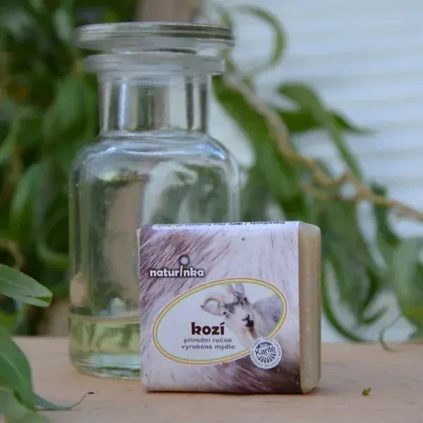 Podložka pod mýdlo malá