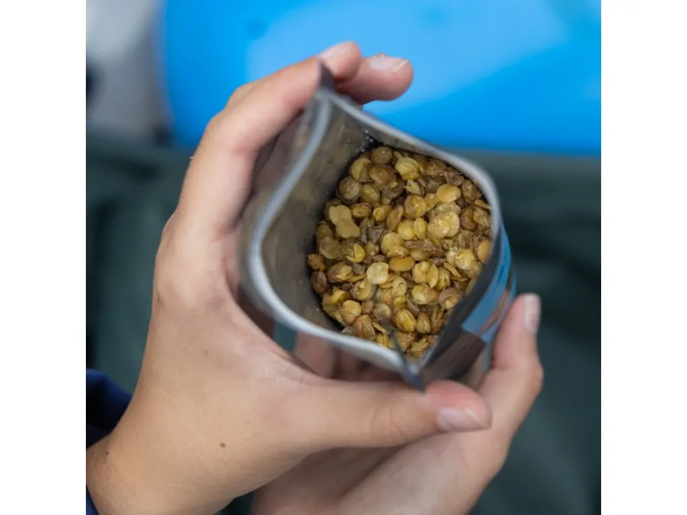 Smažená čočka: Mořská sůl 20 g